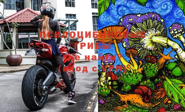 МДПВ Волосово