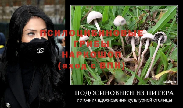 дмт Вязьма