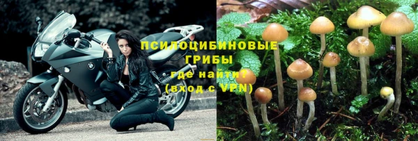 молекула духа Вязники