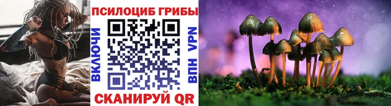 магазин  наркотиков  Батайск  Псилоцибиновые грибы Psilocybe 